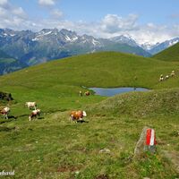 Aber auch sonst gibt es Geheimnisse zu entdecken, wie diese kleinen Bergseen.