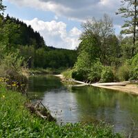 aue-chly-rhy-fluss-und-wiese