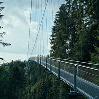 Hängebrücke WILDLINE