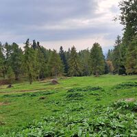am Rückweg durch die Lärchenwiesen