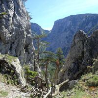 am Wachhüttelkammsteig