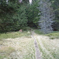 am Weg zum Harterkogel