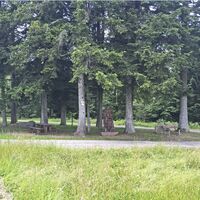 Wald