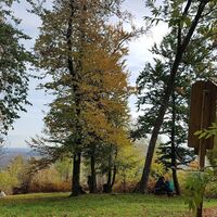 Gleichenberger Kogel mit Rastplatz beim Keltischen Baumkreis