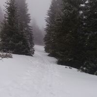 Großebenrunde mit Mariengruß_Über die Großeben (Almweide)