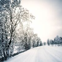 Winterwanderweg an der Enns