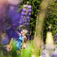 Junge blonde Frau spaziert auf der lila-blauen Lupinenwiese