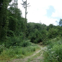 Richtung Hadersfeld Buschgettl