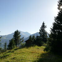 hinter der kleinen Hütte beginnt der Jagdsteig