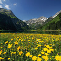 Vilsalpsee