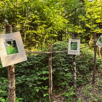 Energiewanderung