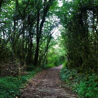 Weg zum Lac de Chailloux