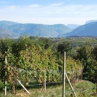 Ausblick Richtung Bozen