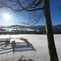 Blick RichtungSüden von der Schönegger Käsealm