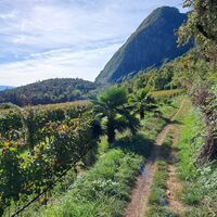 am Wanderweg 15 Richtung Eishöhlen