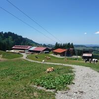 Abstieg zur Falkenhütte