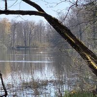 Idylle am Killenweiher