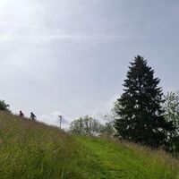 Aufstieg - Schwarzenburg-Köniz Trailrun