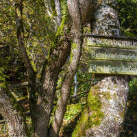 Heckentalquelle