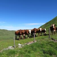 Franz-Fischer-Hütte - Tappenkarseehütte - Sticklerhütte