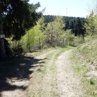 Übergang zum Falschen Jauerlinggipfel