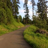 Retourweg zurück ins Brunni