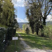 Hier dann auf schmalem Weglein links der Schwarza weiter