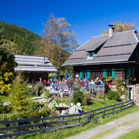 Alm hinterm Brunn