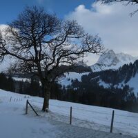 Oberi Walehütte - Schwefelbergbad Trail