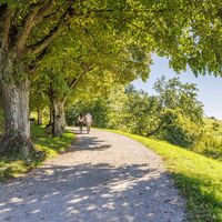 Weg zur Festungsruine Hohentwiel