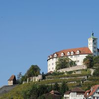 Schloss Kaltenstein