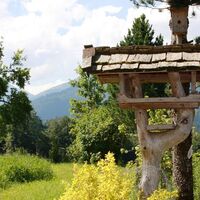 IMG_1062.JPG