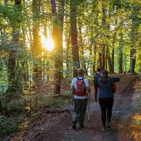 Sonnwendwanderung