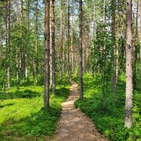 Die Bärenschlucht ist ein Schutzgebiet von nationaler Bedeutung.