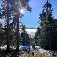 Erste frei Aussicht zu den Berchtesgadener Alpen