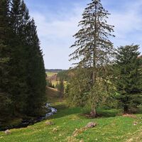 Holzschlagbachtal
