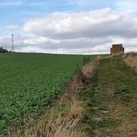 Würfelförmige Heuballen