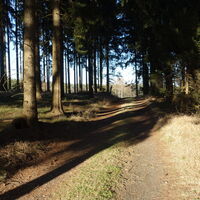 Forststraße Richtung Wermuthgraben