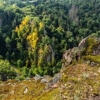Aussicht Schwedenfelsen ins Schlüchttal