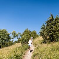 Durch das NSG Haarberg-Wasserberg