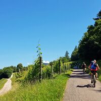 Val di Fiemme Eisenbahn