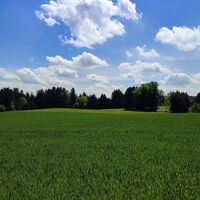 Blick nach Süden in Ri. Münzkirchen