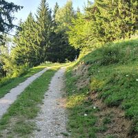 22.6 km Abzweigung in die Wolfsleiten-Strecke