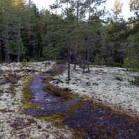 Naturlehrpfad zu den Klippen von Mexiko