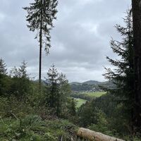 Ausblick am Treis auf dem Uplandsteig 
