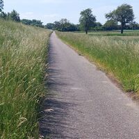 Kurz vor der Rheinbrücke