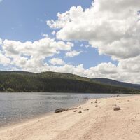 Strandabschnitte am Schluchsee