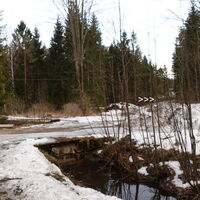 am Rückweg entlang dem Krumbach