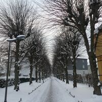 Bürgermeisterwall in Einbeck im Schnee