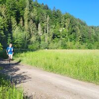 Schwarzwassergraben - Schluchtenweg Trailrun